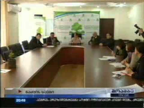 MOE: სიუჟეტი წინასაახალწლო ნაძვის ხეების მოჭრასთან და ჯარიმებთან დაკავშირებით