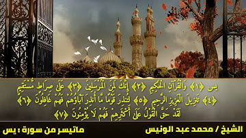 الشيخ : محمد عبد الونيس || سورة : يس