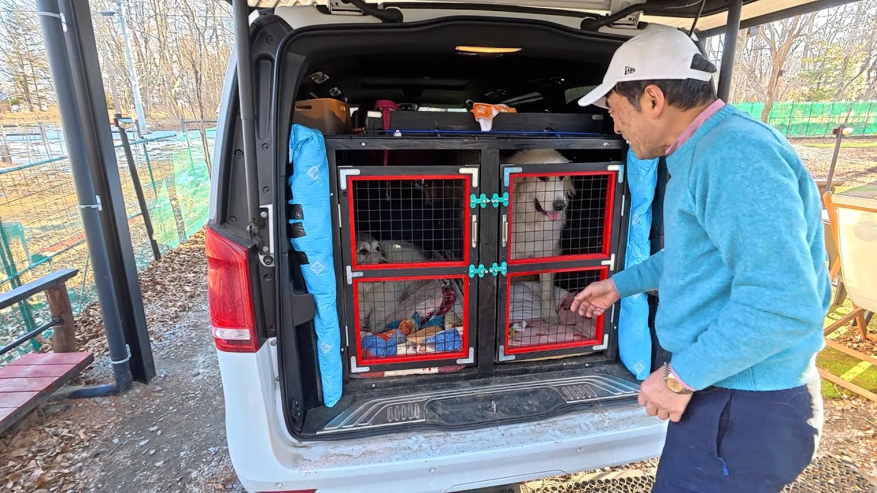 Lunlun's Backyard] Belle and Lily took three hours to get from the