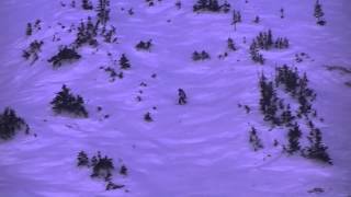 Jacks Rastas Run 1-20-14 Snowbird Jr Freeride Hosted By Sbsef