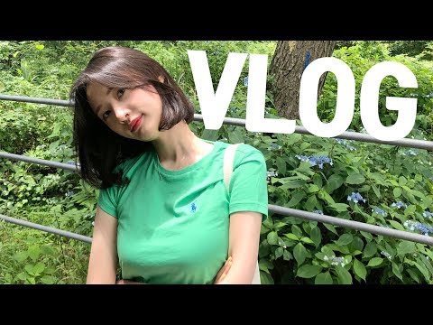 [브이로그-VLOG]3부작;; 가을 택이의 일상과 제주도 여행 브이로그(짬뽕 브이로그;;/제주도 여행/오겹살 소주/전복 <strong>맛집</strong>/<strong>애월</strong>/시바견 택이)