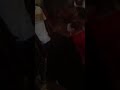 زلاف حسين علي سفياني زلاف حسين علي سفياني