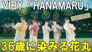 36歳にも刺さる等身大青春コンセプト！VIBY 'HANAMARU' MV Reaction!!