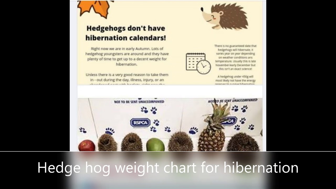 Stunning Snake Food Chart For Hibernation Weight Gain image