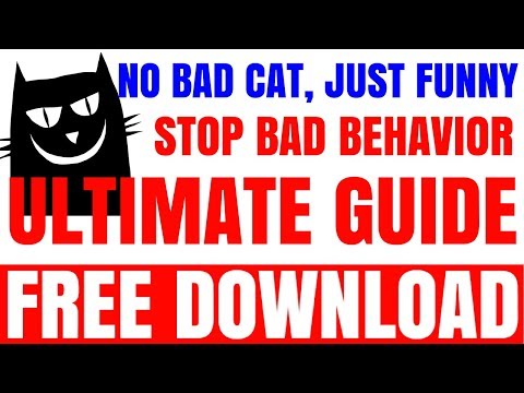 best-funny-cats-videos-compilation-530-|-cats-being-jerks-2016-(hd)-[funny-pets]