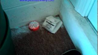 The Bug Doctor Minute Heavy Doses Kill Less Bugs