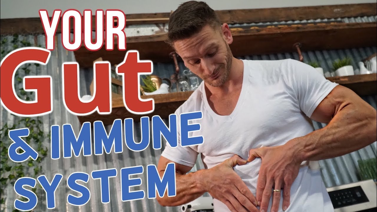 Probiotics | Boost Immunity | Prevent Sickness– Thomas DeLauer