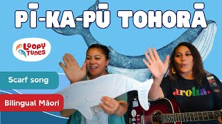 Pī-ka-pū Tohorā | Scarf Song | Bilingual Māori | Peek-a-boo Song | Preschool Music