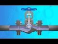 Bellow Sealed Globe Valve