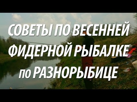 ловля плотвы на фидер весной на малых реках