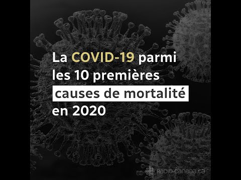 Vidéo: Le Taux De Mortalité Réel Du Coronavirus Est Inconnu - Vue Alternative