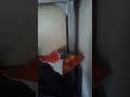 17 января 2026 г.