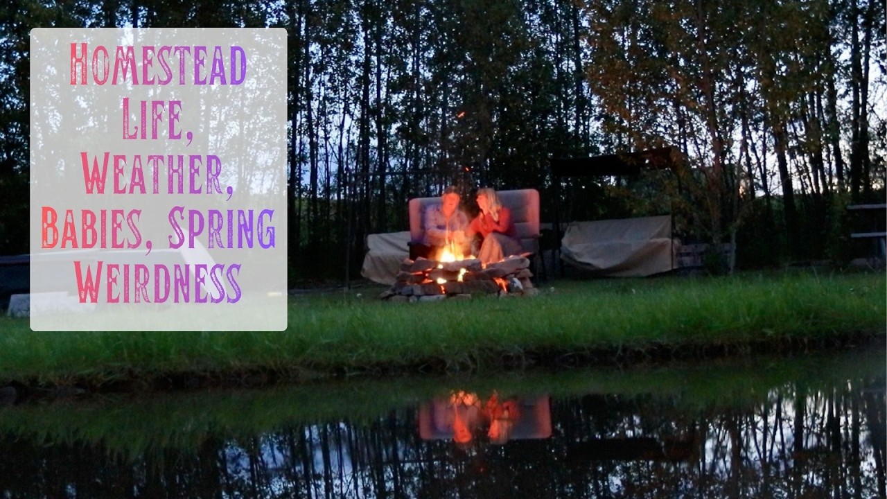 Homestead Sights & Sounds from a Very Odd Spring in the Mountains of Wyoming - Babies, Blooms, Snow