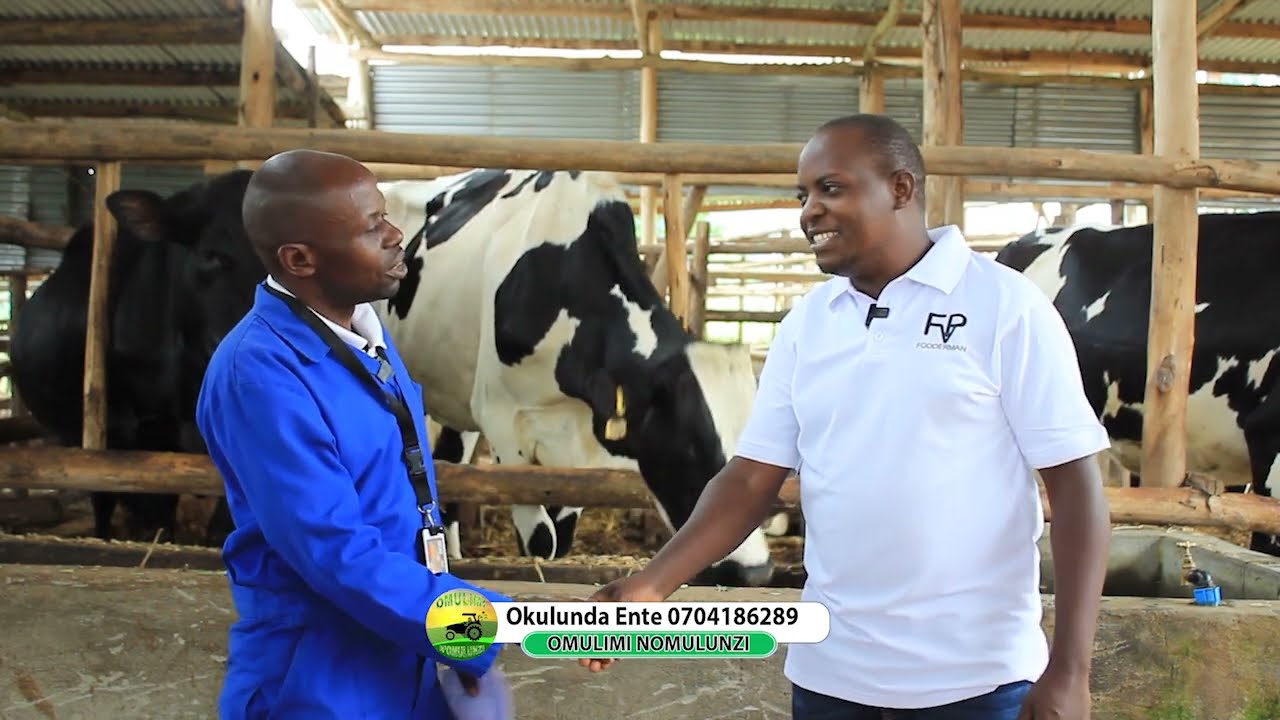 Okulunda Ente part one