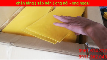 chân tầng (sáp nền ) nguyên chất ong nội - ong ngoại