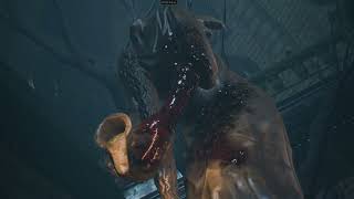 Bloodborne PC - Berserk vs Vicar Amelia - Full Fight - Full Cutscene - 70 +fps - NG+1 - Shadps4 -
Hi guys so now comes the boss fighting, BERSERKER
Guts Greatsword and DragonSlayer Mod
https://www.nexusmods.com/bloodborne/mods/177
SoulCalibur Weapons Mod
https://www.nexusmods.com/bloodborne/mods/178
Master Sword Bundle Mod
https://www.nexusmods.com/bloodborne/mods/135
My Lastest Build will be here : https://github.com/diegolix29/shadPS4/releases
This is Build i use here: https://github.com/diegolix29/shadPS4/actions/runs/12399380634
Mods:
https://www.nexusmods.com/bloodborne/mods/41
https://www.nexusmods.com/bloodborne/mods/149
https://www.nexusmods.com/bloodborne/mods/19
Donations
Buy me a Coffee link https://buymeacoffee.com/diegolix29
Paypal link for donations: https://paypal.me/Dmugetsu?country.x=GT&locale.x=en_US Bloodborne PC - Berserk vs Vicar Amelia - Full Fight - Full Cutscene - 70 +fps - NG+1 - Shadps4 -