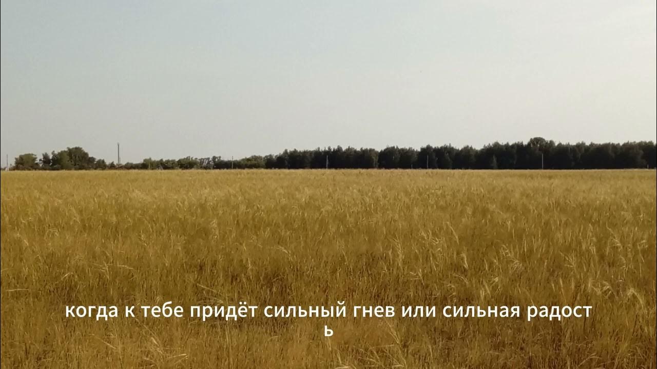 И это тоже пройдёт. Притча - Кольцо Соломона. Всё пройдет. Ничто не ...