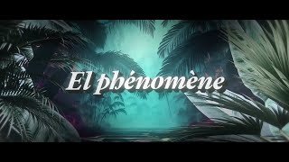 Bouss - El Phénomène Lyrics