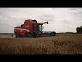 Laverda M306 dans les derniers blés [Bretagne]
