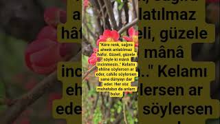 Vaktimiz Var Durup Ince Şeyleri Anlamaya