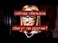 Собчак сбежала. Сбегут ли другие?