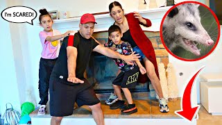 AN OPOSSUM BROKE INTO OUR HOUSE... *UNBELIEVABLE* | Jancy Family