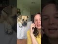 Dog Gets Excited as Owner Says His Favourite Words While Pretending to Talk on Phone - 1343610