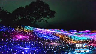 Sensorio light display provides sneak peek before grand opening.