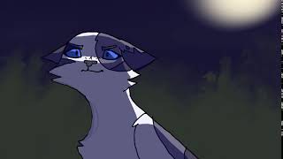 Mother knows best Ivypool and Dovewing MAP part 8
