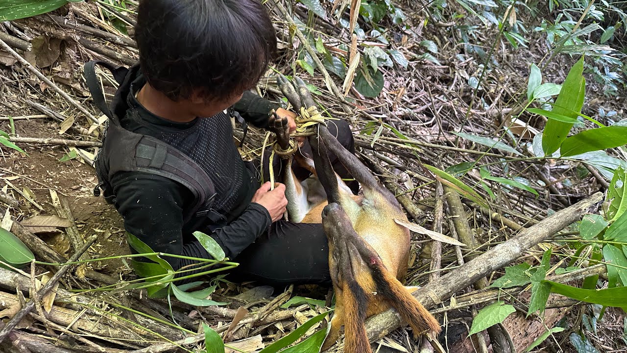 Hunting in Kaw Thoo Lei