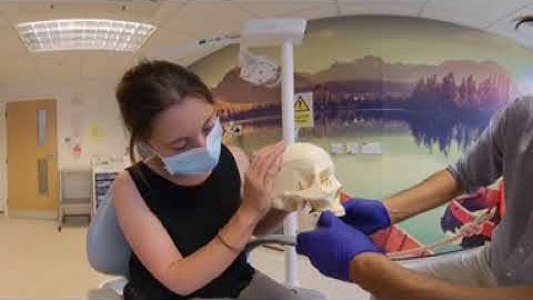 How to reduce a TMJ dislocation, a 360 video please tap and scroll for best view
