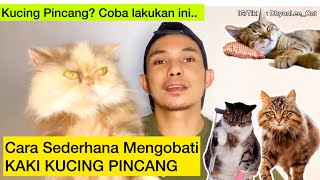 CARA MENGOBATI KUCING PINCANG ~ cara sederhana mengobati kucing Pincang by DhyonLee 132 views 1 month ago 6 minutes, 37 seconds