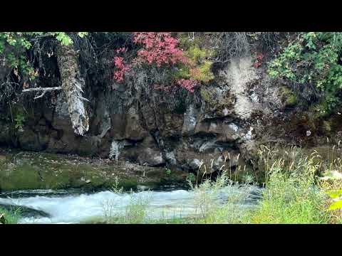 Ultra HD 4K River Serenade for Sleep & Stress Relief | 2 Hours Natural Water Sounds