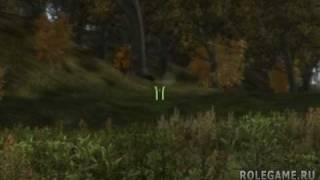 Arma 2 - Grass stealth test