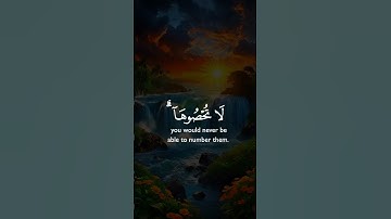 سورة النحل #قران_كريم #اكسبلور #duet #الرحمن #دويتو #حالات_واتس #لايك #راحة_نفسية #تيك_توك