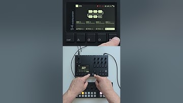 From 4 One-Shots to a Killer Techno Sequence — Torso Workflow