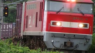 列車番号4094　EF510-4　羽越本線（間島～村上）60P