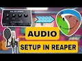 How To Connect Audio Interface In REAPER | Audio Setup | Anything In REAPER 😀