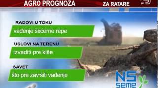 TV KANAL 9, NOVI SAD, VREMENSKA I AGROPROGNOZA ZA 5. NOVEMBAR