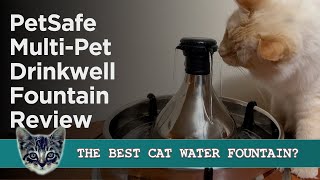 PetSafe Drinkwell 360 Stainless Steel Multi Pet Cat Water Fountain Review - What Did Our Cats Think?