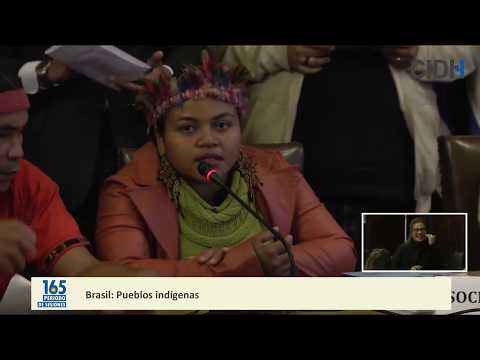 Human Rights Situation of Indigenous Peoples in Brazil