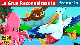 La Grue Reconnaissante The Grateful Crane Story In French Contes De Fées Français