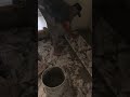 I M Doing Tiling Works Funny Comedyfilms 