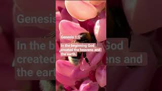 Genesis 1:1