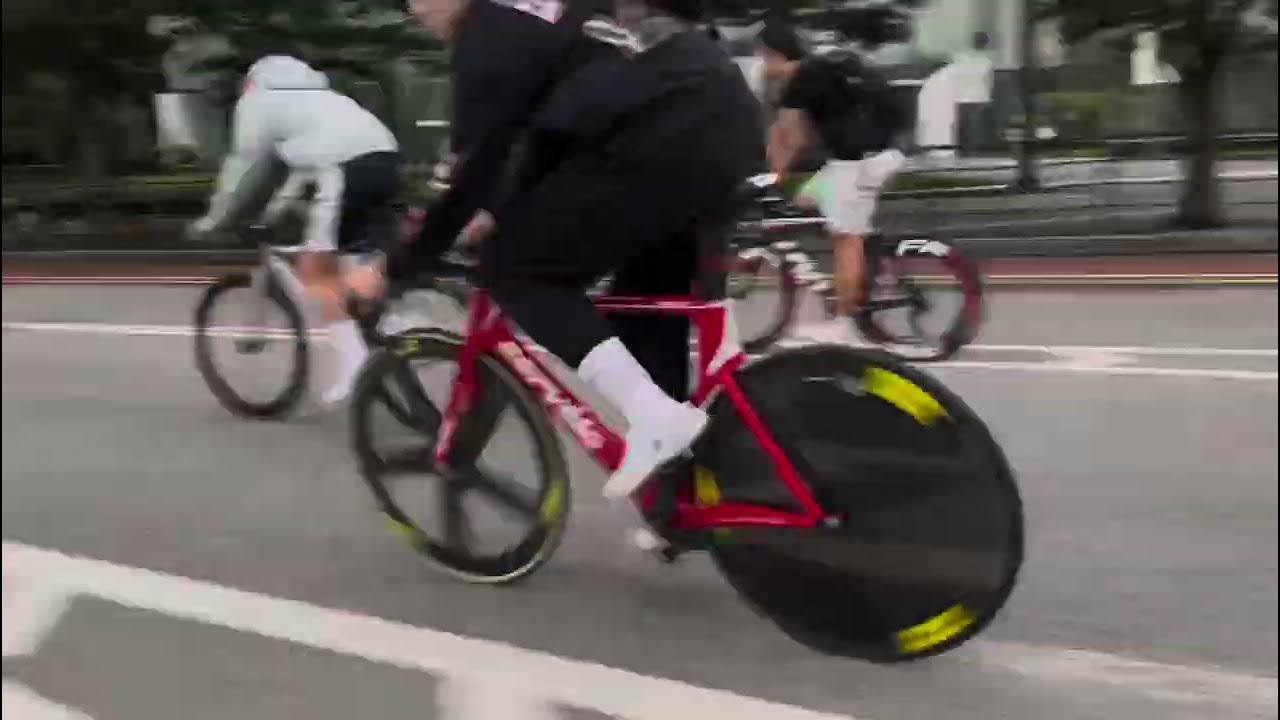 처음 인사드립니다.#픽시 #추천 #노재호