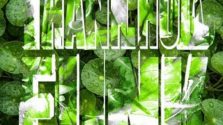 Thanh Hoa Funk - Luxury Vn , Music