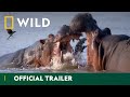 Africa’s Deadliest | Official Trailer | National Geographic Wild UK