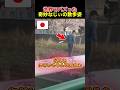 ㊗️100万再生🍾 奇妙なおじいちゃんの散歩姿