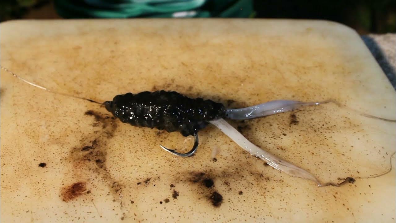 Unique Squid/Chokka Bait with ink Sack - YouTube