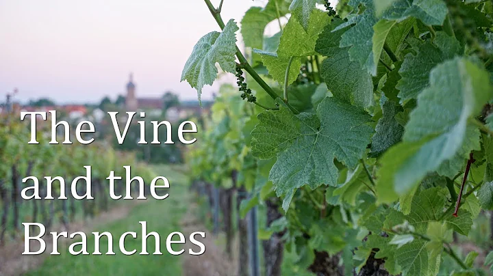 The Vine and the Branches  Pastor Mark Howard